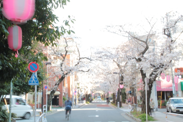 武蔵小山のお花見スポット